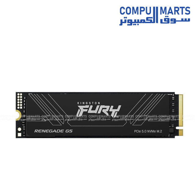 Kingston FURY Renegade G5 PCIe 5.0 M.2 NVMe SSD 1TB 2TB 4TB High Speed Gaming Drive Egypt