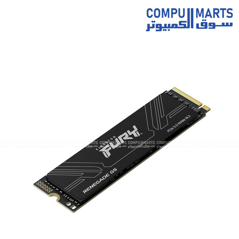 Kingston FURY Renegade G5 PCIe 5.0 M.2 NVMe SSD 1TB 2TB 4TB High Speed Gaming Drive Egypt