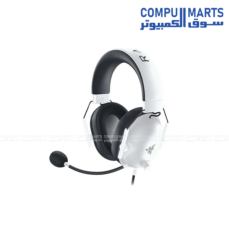 Razer BlackShark V2 HyperSpeed Wireless Headset Black with Triple Mode Connectivity and Boom Mic