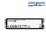 Kingston FURY Renegade G5 PCIe 5.0 M.2 NVMe SSD 1TB 2TB 4TB High Speed Gaming Drive Egypt