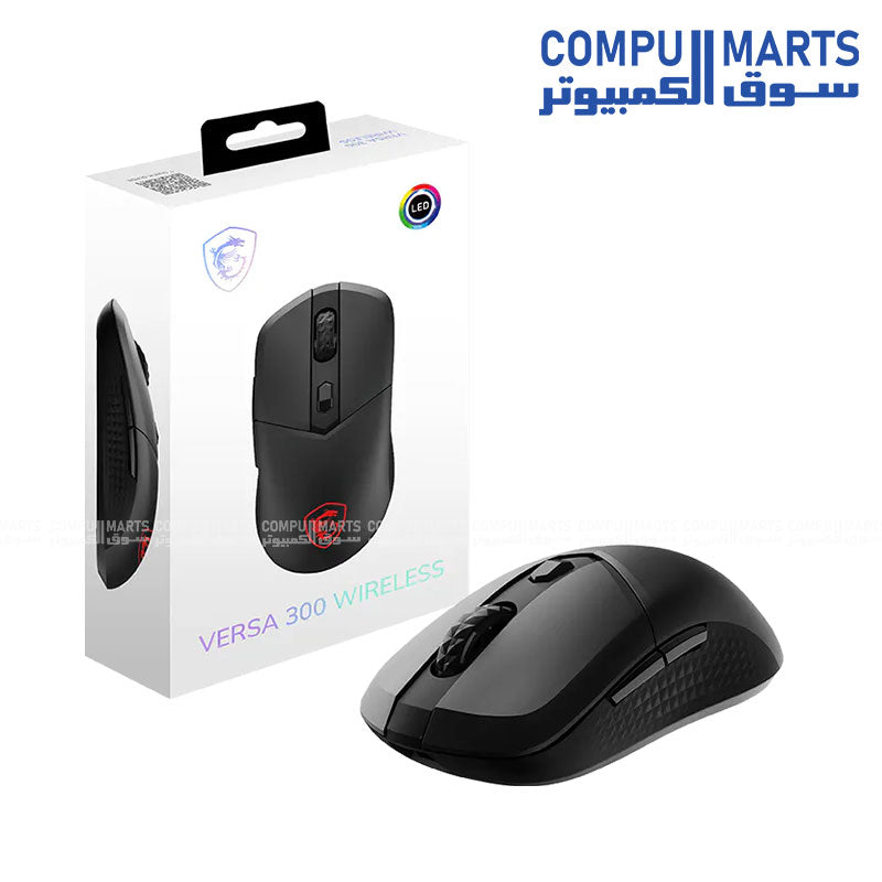 Connectivity options including 2.4 GHz wireless and Bluetooth for the MSI Versa 300