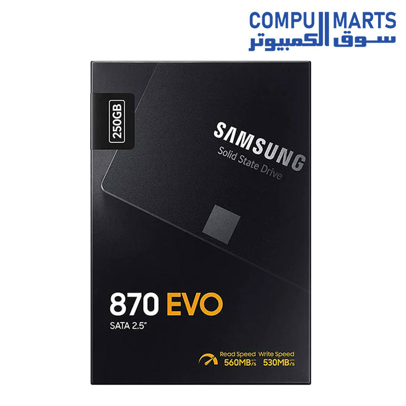 870-EVO-SSD-SAMSUNG-III-Internal
